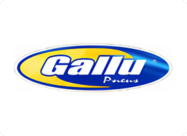 GALLU PNEUS